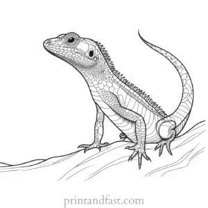 lizard coloring page nature