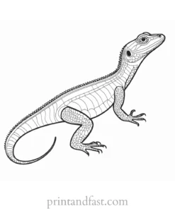 lizard coloring page online