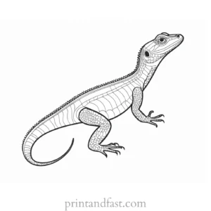 lizard coloring page online