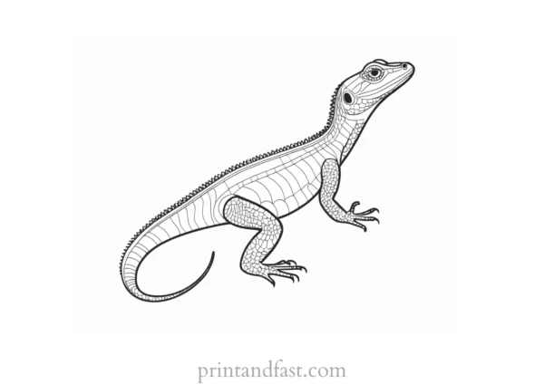 lizard coloring page online