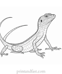 lizard coloring page outline