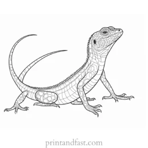 lizard coloring page outline