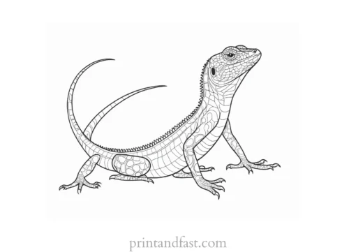 lizard coloring page outline