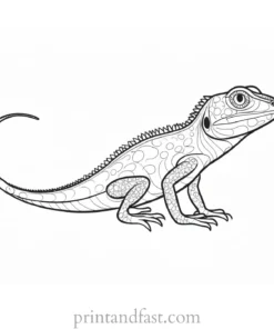 lizard coloring page preschool