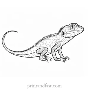 lizard coloring page preschool