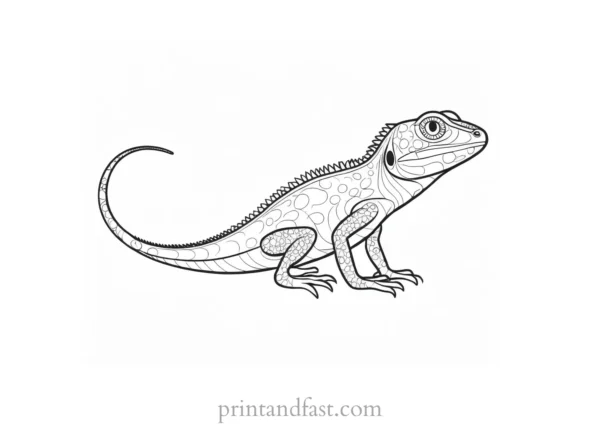 lizard coloring page preschool