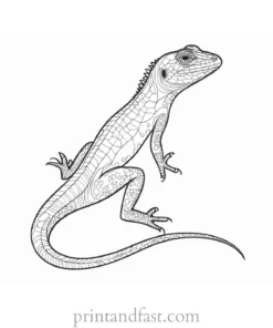 lizard coloring page printable