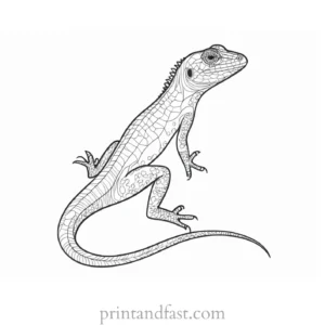 lizard coloring page printable