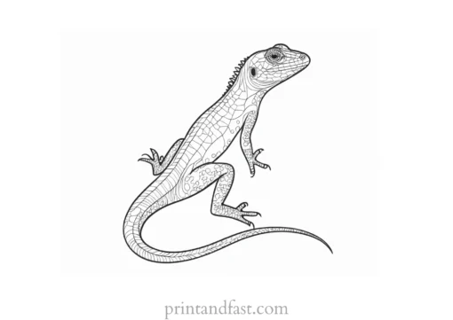 lizard coloring page printable