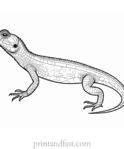 lizard coloring page realistic