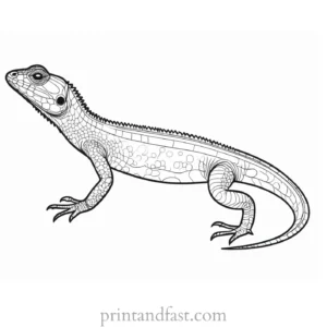 lizard coloring page realistic