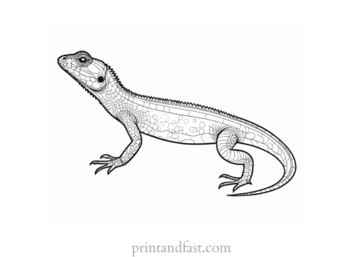 lizard coloring page realistic