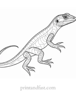 lizard coloring page reptile