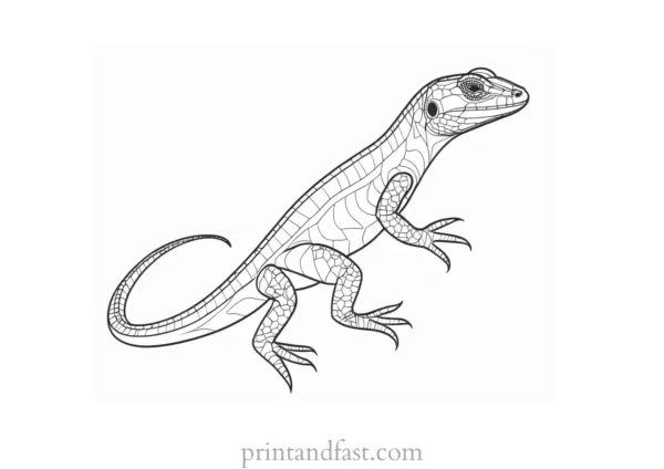 lizard coloring page reptile