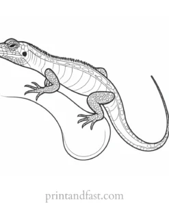 lizard coloring page simple