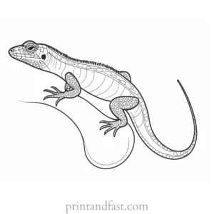 lizard coloring page simple