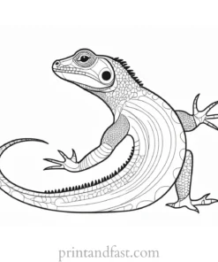 lizard coloring page template