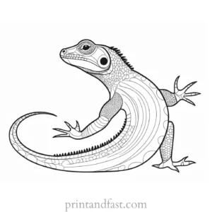 lizard coloring page template