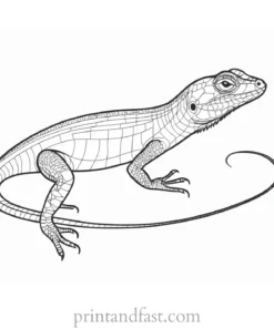 lizard coloring page tropical