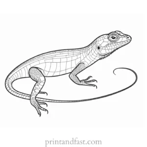 lizard coloring page tropical