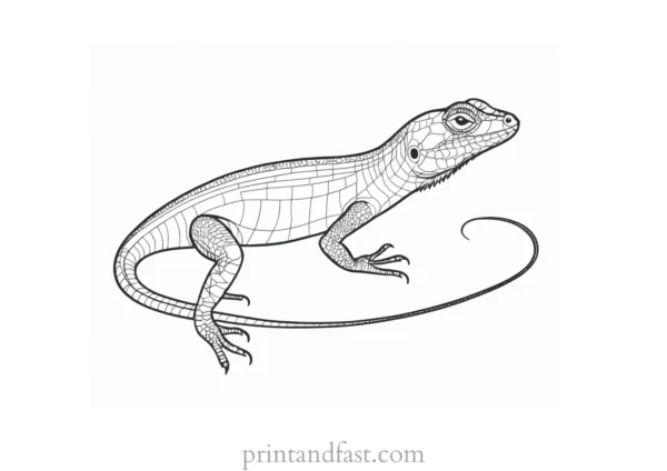 lizard coloring page tropical