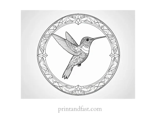 mandala Hummingbird Coloring Page