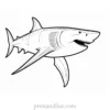 megalodon coloring page black and white