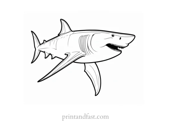 megalodon coloring page black and white