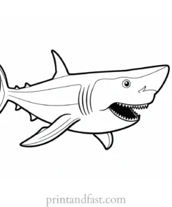 megalodon coloring page cute