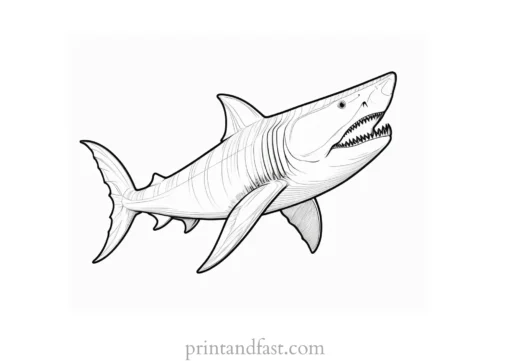 megalodon coloring page drawing