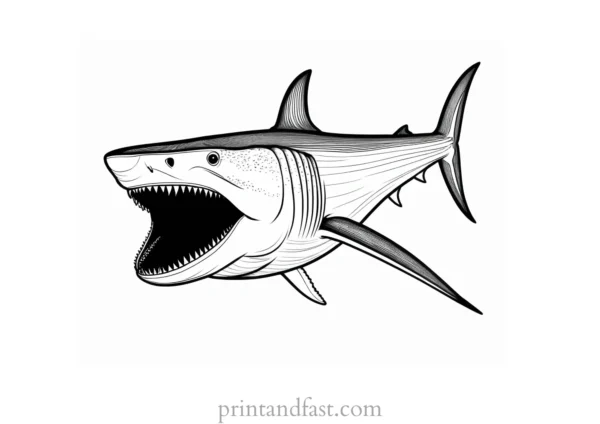 megalodon coloring page fierce