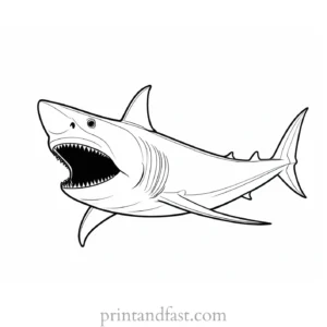 megalodon coloring page fun