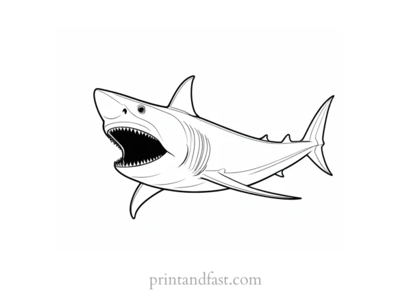 megalodon coloring page fun