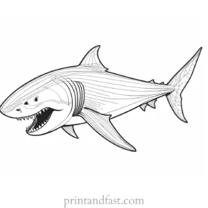 megalodon coloring page prehistoric