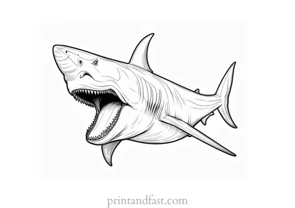 megalodon coloring page scary