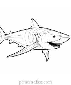 megalodon coloring page shark