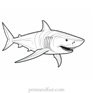 megalodon coloring page shark