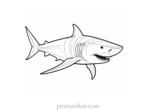 megalodon coloring page shark