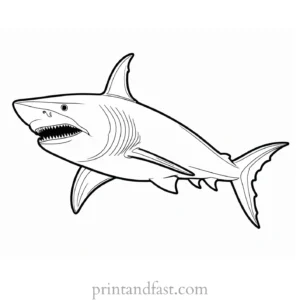 megalodon coloring page simple