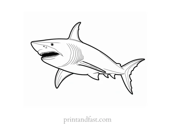 megalodon coloring page simple