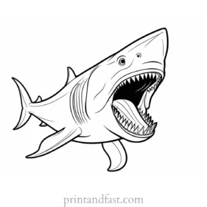 megalodon coloring page teeth