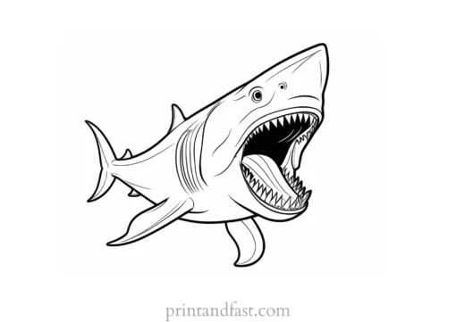 megalodon coloring page teeth