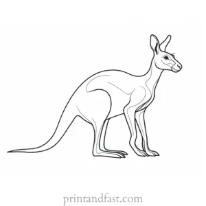 mother kangaroo coloring page