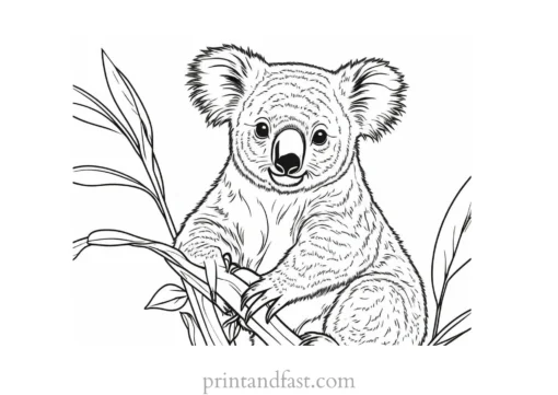 nature Koala Coloring Page