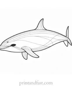 orca coloring page autumn