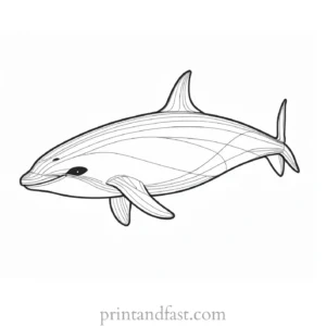 orca coloring page autumn