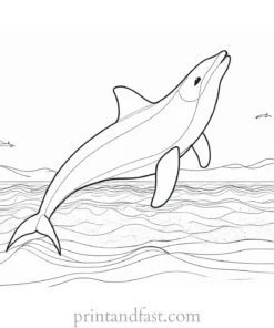 orca coloring page beach