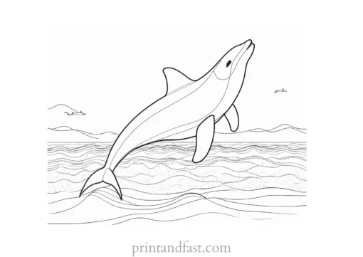 orca coloring page beach