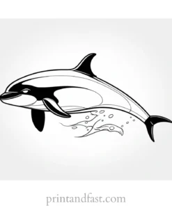 orca coloring page beautiful