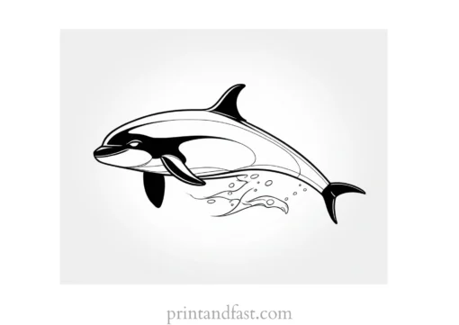 orca coloring page beautiful